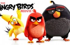 The-Angry-Birds